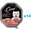 Cesar Adult terina s jemným teľacím mäsom a hydinou 14 x 150 g