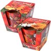 Bartek Candles Gingerbread with Cinnamon and Apple note 115 g