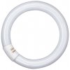 Osram Kruhová žiarivka Lumilux T9, G10Q, 32 W, 2100 lm, 4000 K, opálová