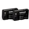 Hähnel Fototechnik HL-E6, 2er akumulátor do kamery Náhrada za orig. akumulátor LP-E6 7.2 V 1650 mAh; 10001601