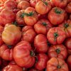 BIO Paradajka Bührer-Keel - Solanum lycopersicum - bio semená - 8 ks