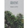 Advent – Krokmi k Ježišovi - Anna Berthotyová, Zuzana Mrekajová