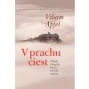V prachu ciest - Viliam Apfel