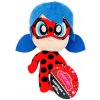 Miraculous Lienka čierny kocúr Lady Bug