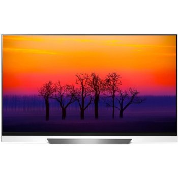 LG OLED55E8