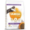 Iams Cat Kitten Chicken 2kg