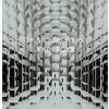 Foxx John - Arcades Project [CD]
