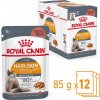 Royal Canin Cat Hair & Skin Gravy 12x85 g