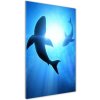Vertikálny foto obraz akrylové sklo Siluety žralokov 50x100 cm