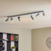 SOLLUX LIGHTING Stropné bodové svetlá Round, sivé, 6-plameňové lineárne - LW.0454