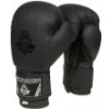 B-2v12 16 OZ BOXERSKÉ RUKAVICEDBX BUSHIDO