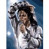 Norimpex diamantové maľovanie Koncert kráľa popu 30 x 40 cm