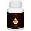 Reishi spórový olej 30% triterpenov