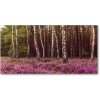 Foto obraz sklo tvrzené vresoviská 100x50 cm