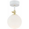 Argon Latina nástenná lampa 1x7 W biela-mosadzná 4002