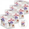 Royal Canin Sterilised Gravy 48 x 85 g
