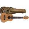 Ukulele koncertné Izzo IZ320CM
