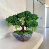Bonsaj do interiéru vyrobený zo stabilizovaného machu a amarantu