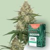 Canntropy Seeds Mango Cookies (feminizované) 10 ks
