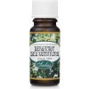 Saloos Éterický olej BERGAMOT BEZ kumarínu 10 ml 10 ml