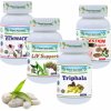 Detoxikácia organizmu