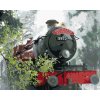 Zuty – Maľovanie podľa čísel – Rokfortský expres na ceste (Harry Potter), 40 × 50 cm, plátno + rám 8596530240174