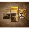 Lev na Savane - 3dielny 90x60cm