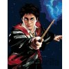 Zuty Maľovanie podľa čísel Harry Potter a prútik