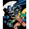 Zuty Batman a Robin 40 x 50 cm plátno napnuté na rám 8596530134572