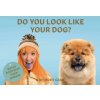 Do You Look Like Your Dog?: Match Dogs with Their Humans: A Memory Game (Gerrard Gethings)(Hra)