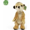 surikataEco-Friendly stojaca 23 cm