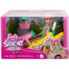 Mattel Barbie Family & Friends Stacie Motokárová