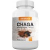 Allnature Chaga 100 kapsúl