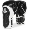 DBX Bushido Boxerské rukavice BB5 - 12oz