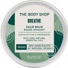 The Body Shop Upokojujúci balzam Breathe Eucalyptus & Rose mary ( Calm Balm) 15 g