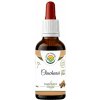 Salvia Paradise Chuchuasi AF tinktura 50 ml