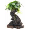 Dennerle Bonsai S s Anubias nana 14 x 8 x 25 cm