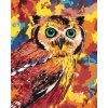 ZUTY Maľovanie podľa čísel - FAREBNÁ SOVA Rámovanie: vypnuté plátno na rám, Rozmer: 40x50 cm