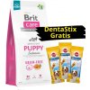 BRIT CARE Dog Grain-free Puppy Salmon 12kg + 3x DentaStix ZADARMO