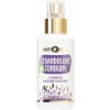Purity Vision Bio Levanduľové tonikum 100 ml
