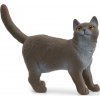 Schleich Schleich® 13973 britská krátkosrstá kočka