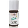 Hanus Čajovníková silica 10 ml