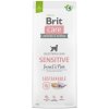 Brit Care Dog Sustainable Sensitive Insect & Fish 12 kg