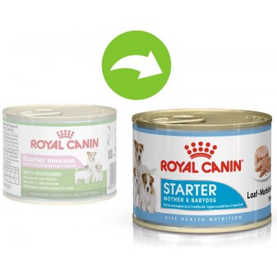 Royal Canin Starter Mousse 24 x 195 g