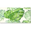 Foto obraz akrylový Tropické lístia 100x50 cm
