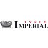 Zimná pneumatika Imperial Snowdragon UHP 235/50R19 103 V, priľnavosť na snehu (3PMSF)