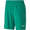 Šortky Puma teamGOAL 23 knit Shorts 70426205 Veľkosť XL