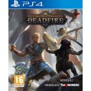 Hra na Playstation 4 Pillars of Eternity 2: Deadfire