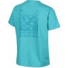 INOV-8 GRAPHIC TEE 38