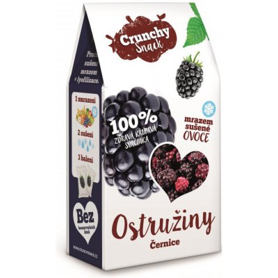 Crunchy snack Mrazom sušené černice 20g